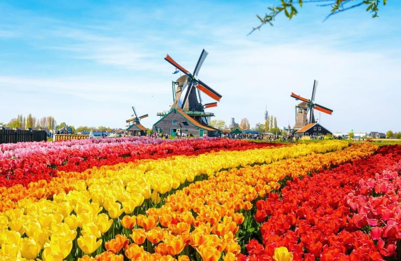 Du lịch Hà Lan trọn gói: 4+ địa điểm bạn nên ghé thăm